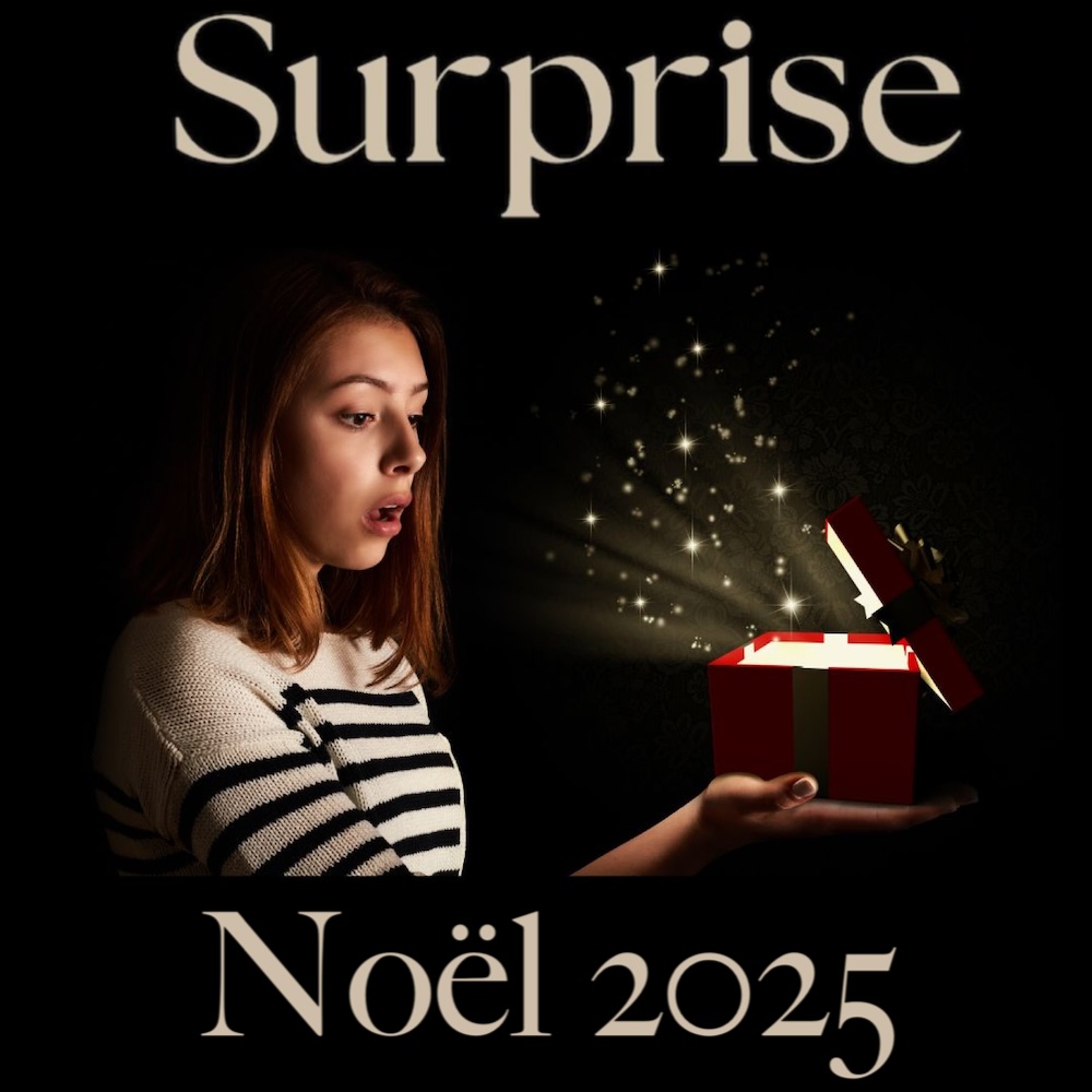 Surprise du Calendrier littéraire 2025